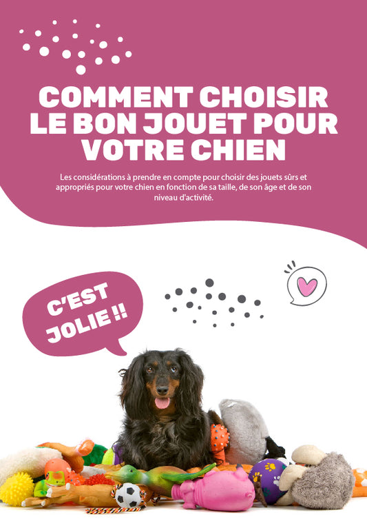 comment choisir le bon jouet pour votre chien