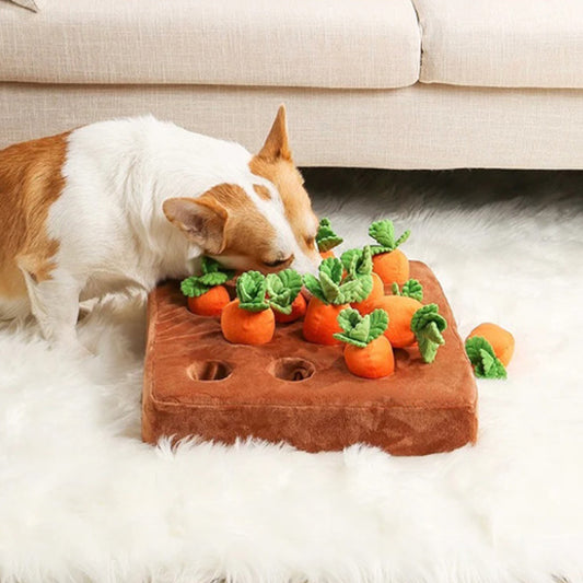 Jouet couineur pour enrichissement des carottes - Le compagnon idéal pour votre chien