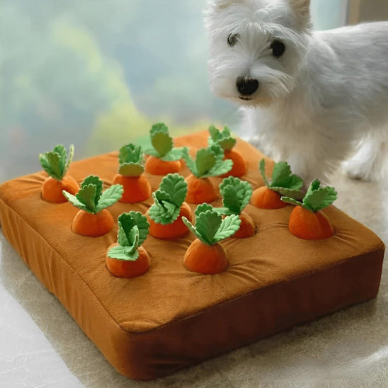 Jouet couineur pour enrichissement des carottes - Le compagnon idéal pour votre chien