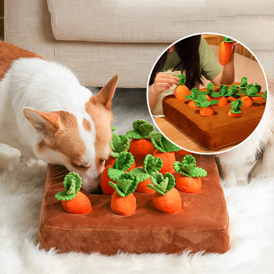 Jouet couineur pour enrichissement des carottes - Le compagnon idéal pour votre chien