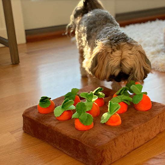 Jouet couineur pour enrichissement des carottes - Le compagnon idéal pour votre chien