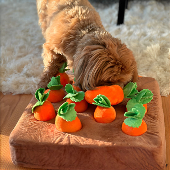 Jouet couineur pour enrichissement des carottes - Le compagnon idéal pour votre chien