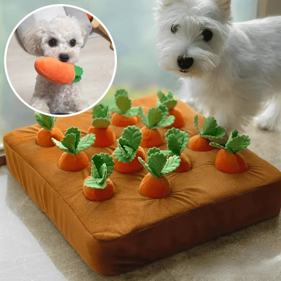 Jouet couineur pour enrichissement des carottes - Le compagnon idéal pour votre chien