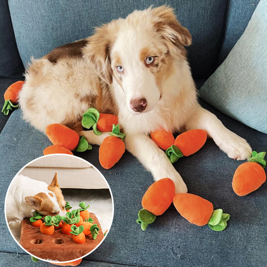 Jouet couineur pour enrichissement des carottes - Le compagnon idéal pour votre chien