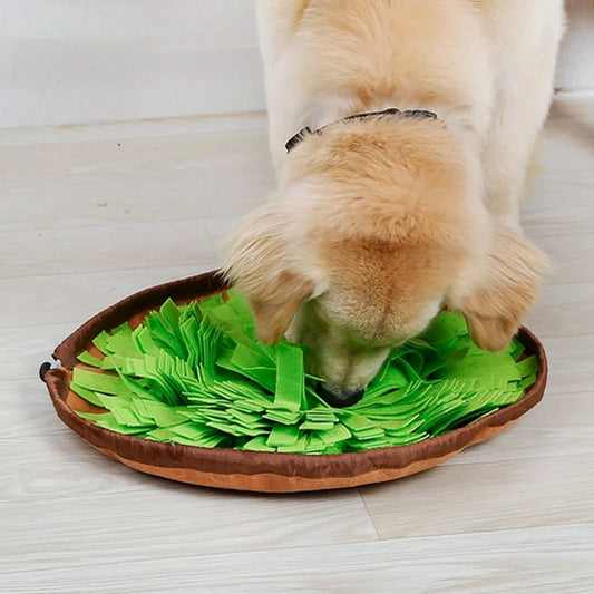 Tapis de Fouille Chien : Le Jouet Éducatif Ultime pour Stimuler votre Compagnon