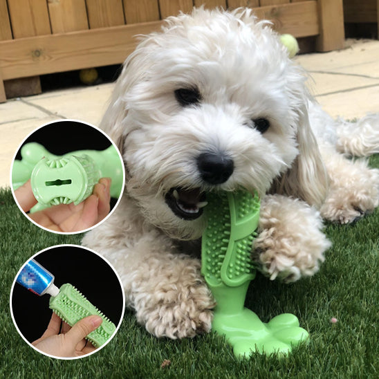 Jouet Chien Bordure résistante à dents de brosse : Le Compagnon Idéal pour Votre Animal