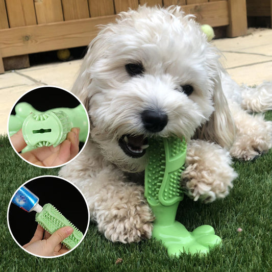 Jouet Chien Bordure résistante à dents de brosse : Le Compagnon Idéal pour Votre Animal