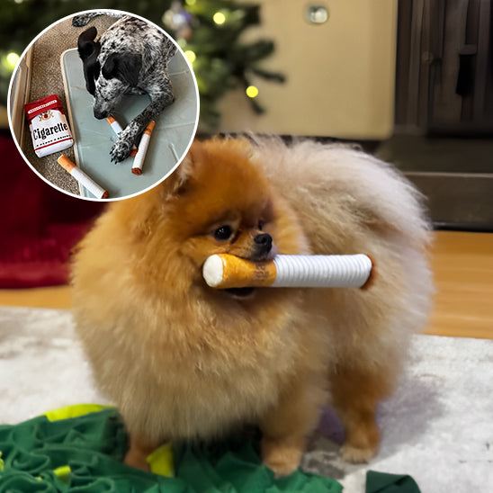 Jouet interactif en Forme de Cigarette pour Chien : L'Innovation Ludique pour Votre Compagnon à Quatre Pattes