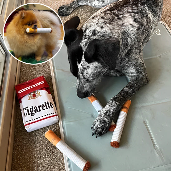 Jouet interactif en Forme de Cigarette pour Chien : L'Innovation Ludique pour Votre Compagnon à Quatre Pattes